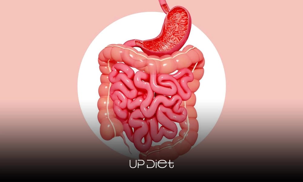 Diet for Slow Digestion: How to Improve Motility and Reduce Bloating Naturally