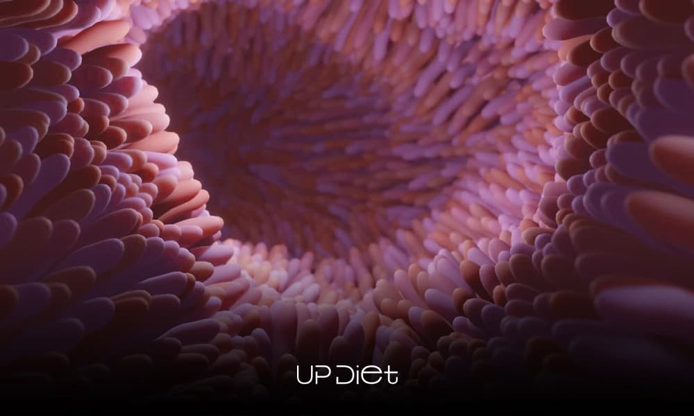 Celiac Disease: Symptoms, Causes, and the Latest Treatment Insights