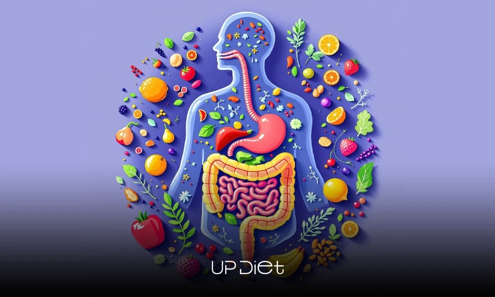 Your Blueprint for Wellness: The Diet and Gut Microbiome Connection