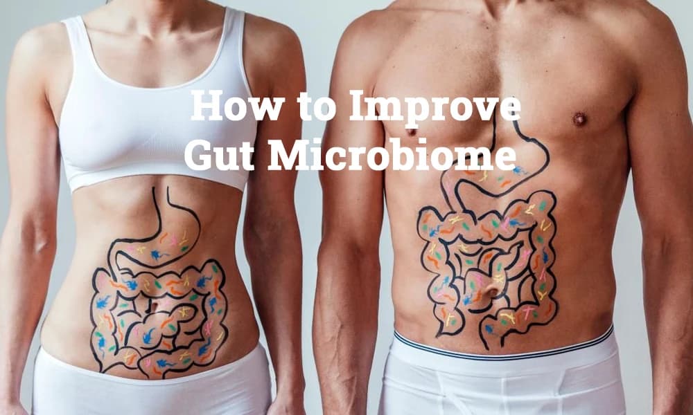 How to Improve Gut Microbiome: A Complete Guide to Better Gut Health