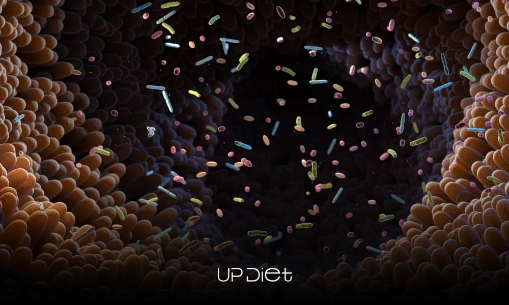 How to Improve Gut Microbiome: A Complete Guide to Better Gut Health