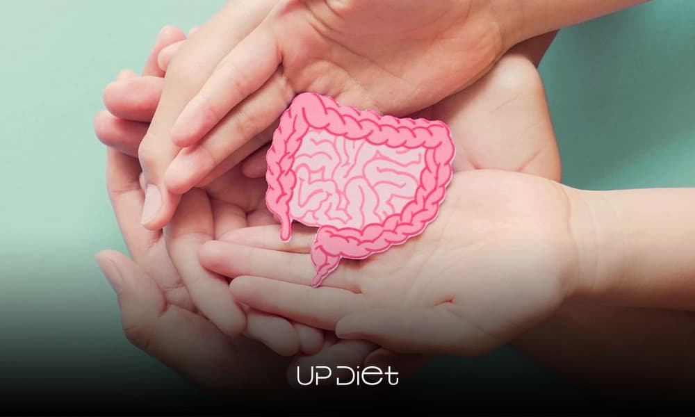 The Hidden Impact of Modern Diets on Gut Health